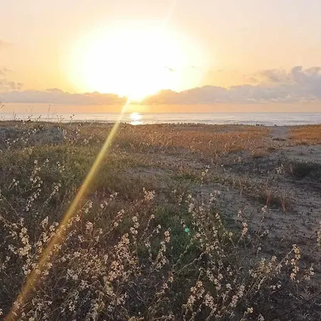 в Oasis Kamchia -the Favourite Blue Διαμέρισμα Bliznatsi