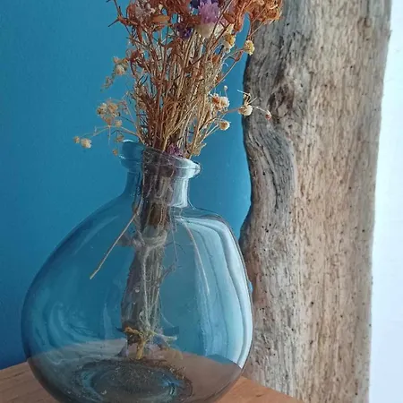 Διαμέρισμα в Oasis Kamchia -the Favourite Blue Bliznatsi