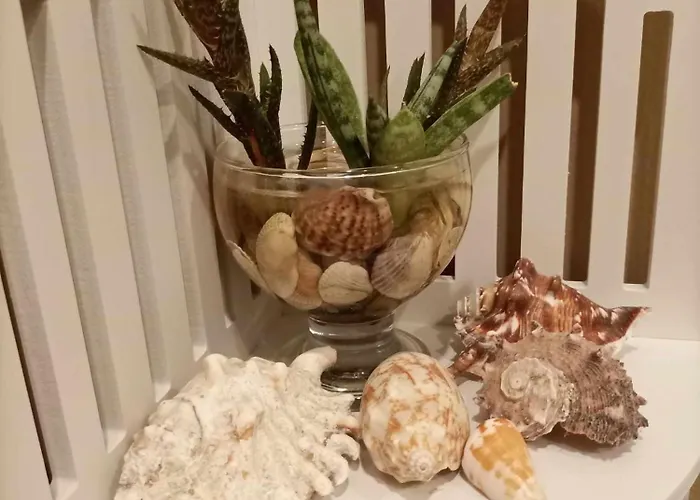 в Oasis Kamchia -the Favourite Blue * Bliznatsi