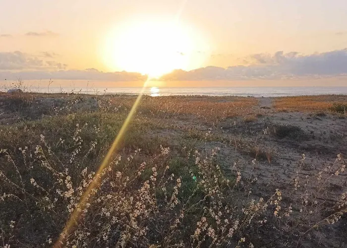 в Oasis Kamchia -the Favourite Blue Apartment Bliznatsi