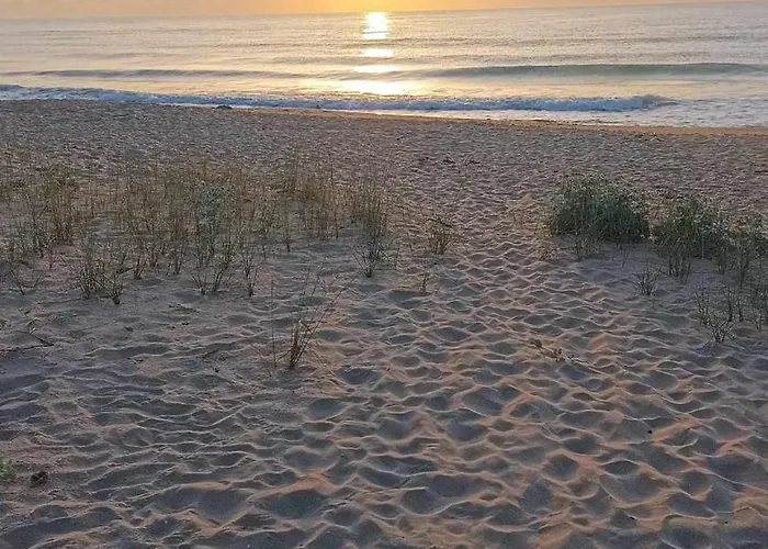 Apartment в Oasis Kamchia -the Favourite Blue Bliznatsi