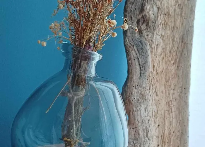 Apartment в Oasis Kamchia -the Favourite Blue Bliznatsi