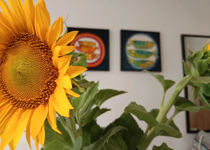 Apartment в Oasis Kamchia -the Favourite Blue *