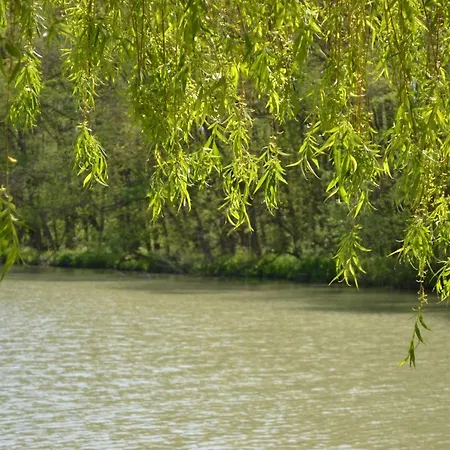 в Oasis Kamchia -the Favourite Blue Apartment