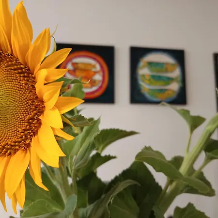 Appartement в Oasis Kamchia -the Favourite Blue *