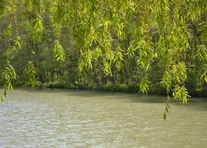 в Oasis Kamchia -the Favourite Blue Apartament