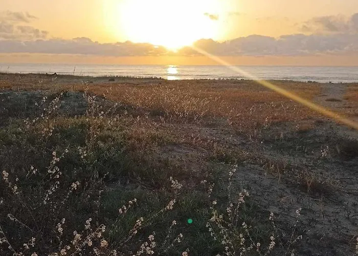 в Oasis Kamchia -the Favourite Blue *